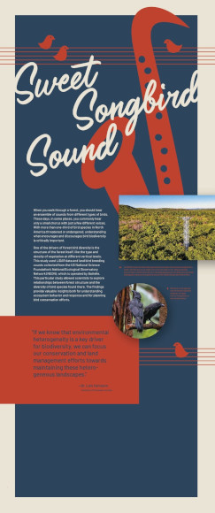 Sweet Songbird Sound